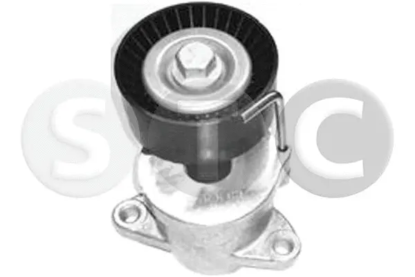 Belt Tensioner, V-ribbed belt (T449645)