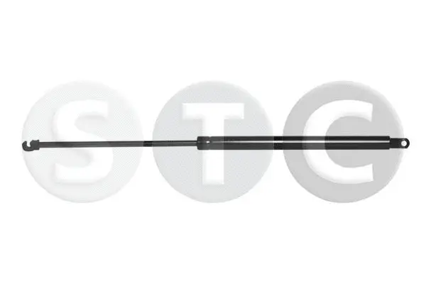 Gas Spring, boot/cargo area (T446755)