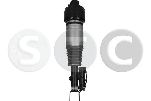 Air Suspension Strut (T442986)