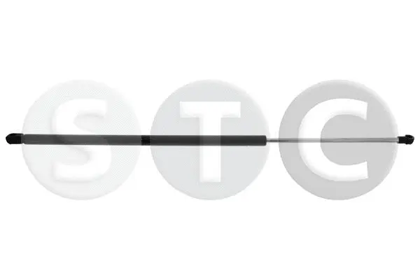 Gas Spring, bonnet (T446483)