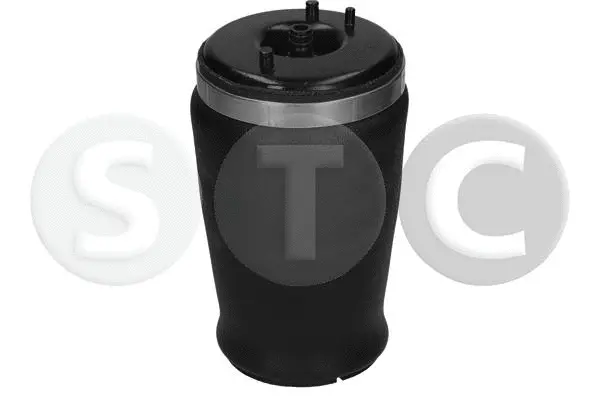 Air Spring, suspension