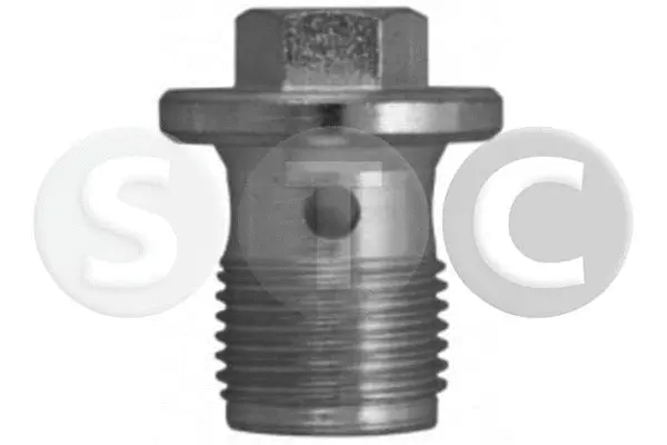 Screw Plug, oil sump (T405432)