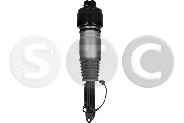Air Suspension Strut