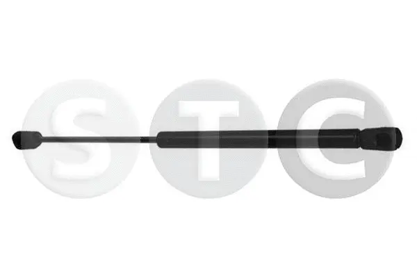 Gas Spring, boot/cargo area (T446739)