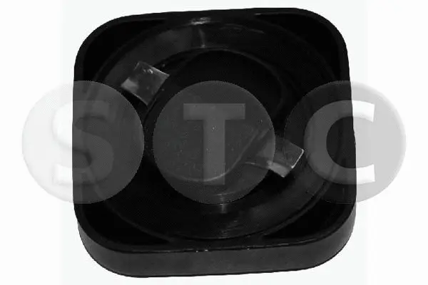 Sealing Cap, oil filler neck (T403747)