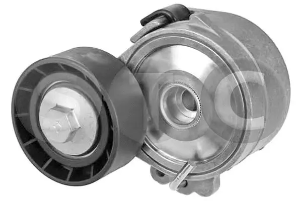 Repair Kit, v-ribbed belt tensioner (T414295)