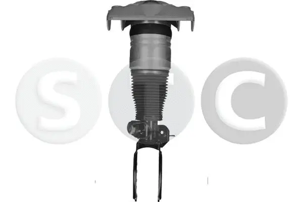 Air Suspension Strut