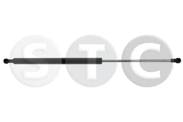 Gas Spring, boot/cargo area (T446469)