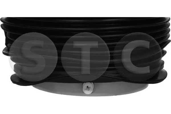 Air Spring, suspension