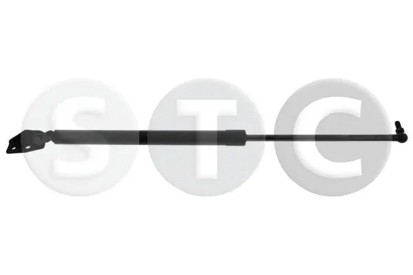 Gas Spring, boot/cargo area (T446381)