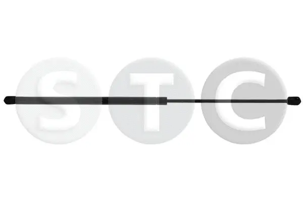 Gas Spring, bonnet (T446575)