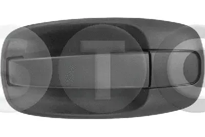 Exterior Door Handle (T443655)