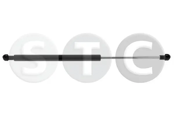 Gas Spring, rear window (T446375)