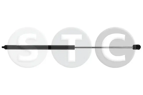 Gas Spring, bonnet (T446675)