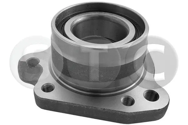 Wheel Hub (T490386)