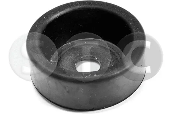 Bushing, axle beam (T402054)