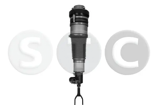 Air Suspension Strut (T442982)