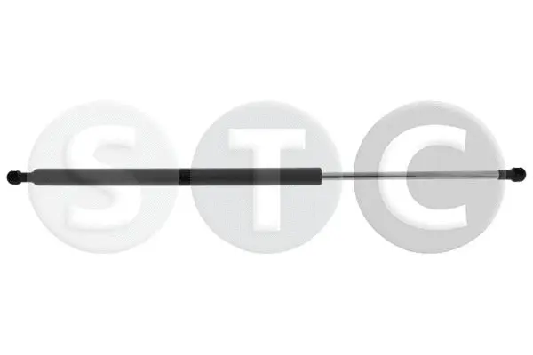Gas Spring, boot/cargo area (T446277)