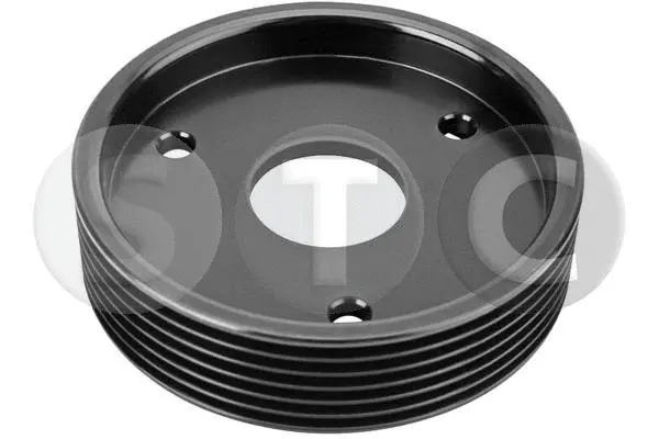 Belt Pulley, power steering pump (T458498)