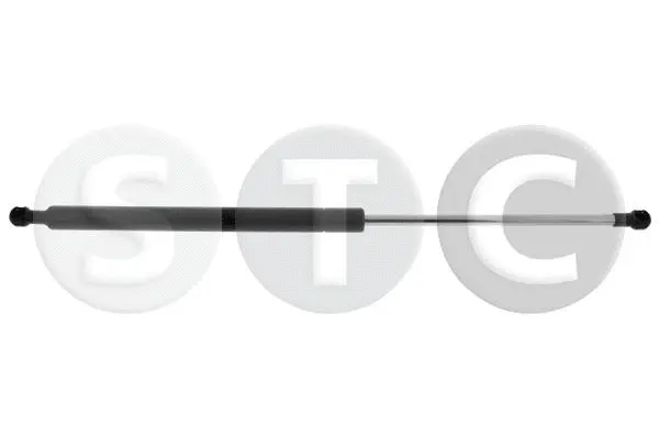 Gas Spring, boot/cargo area (T446179)