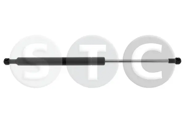 Gas Spring, boot/cargo area (T446819)