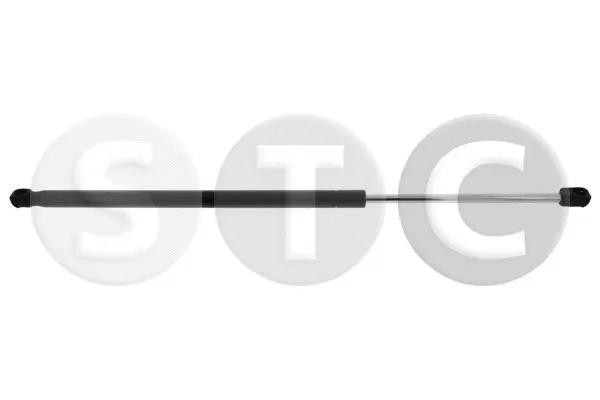 Gas Spring, boot/cargo area (T446679)
