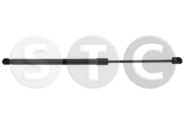 Gas Spring, boot/cargo area (T446601)