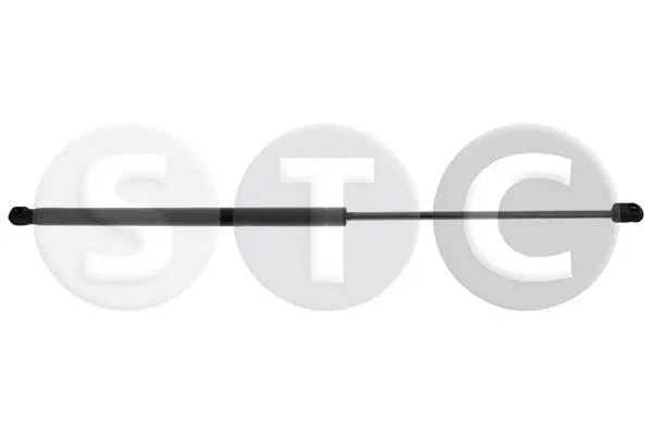 Gas Spring, boot/cargo area (T446801)