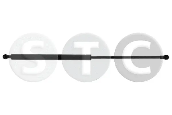 Gas Spring, bonnet (T446156)