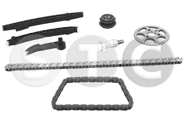 Timing Chain Kit (T451382)