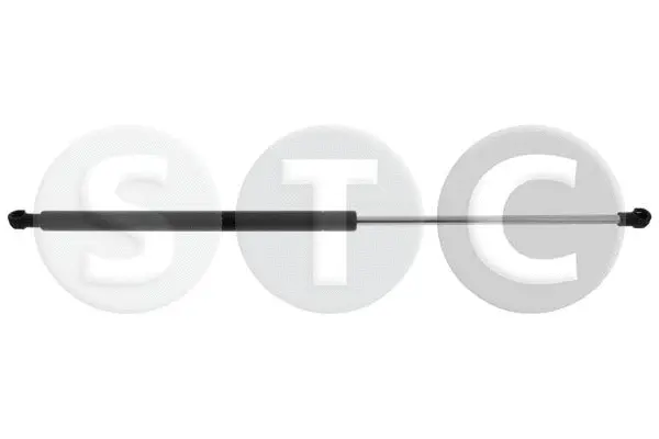 Gas Spring, boot/cargo area (T446467)
