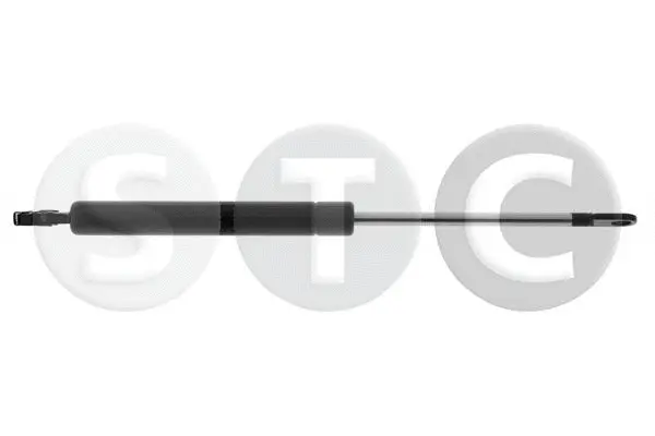 Gas Spring, bonnet (T446647)