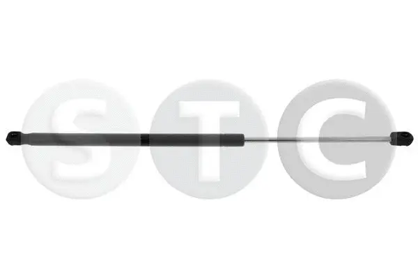 Gas Spring, boot/cargo area (T446358)