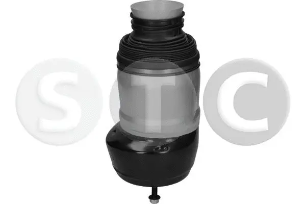 Air Spring, suspension