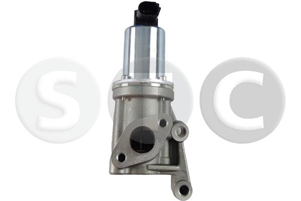 EGR Valve (T493144)
