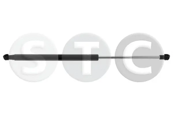 Gas Spring, boot/cargo area (T446456)