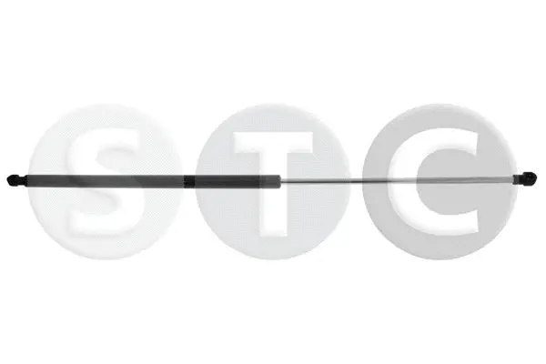 Gas Spring, bonnet (T446294)