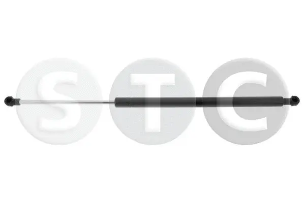 Gas Spring, boot/cargo area (T446741)
