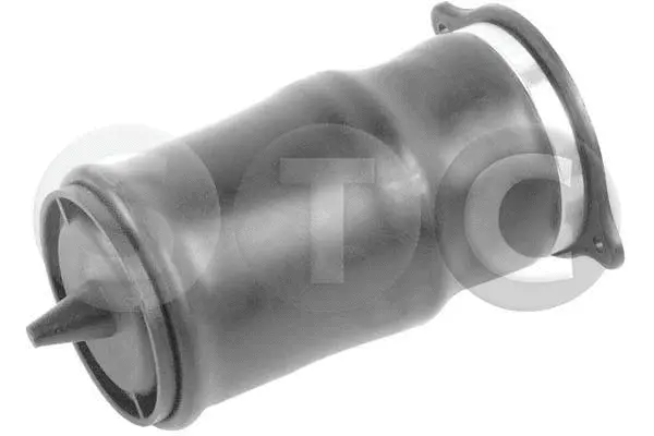 Air Spring, suspension (T442964)