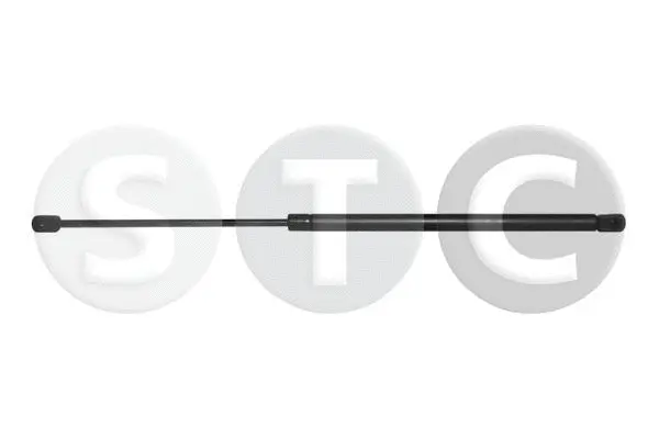 Gas Spring, boot/cargo area (T446654)