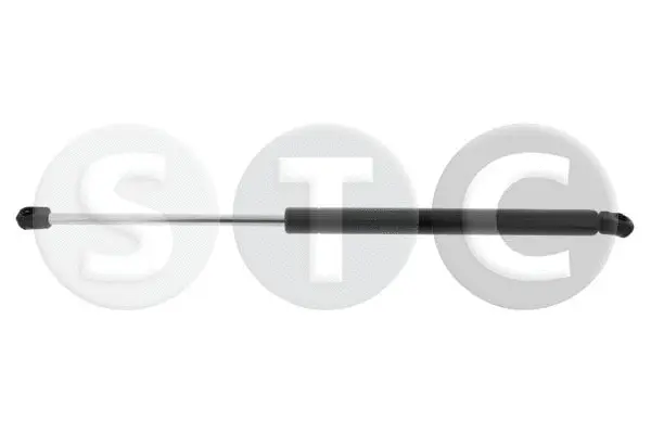 Gas Spring, boot/cargo area (T446572)