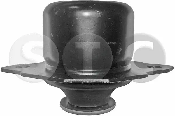 Mounting, engine (T400987)