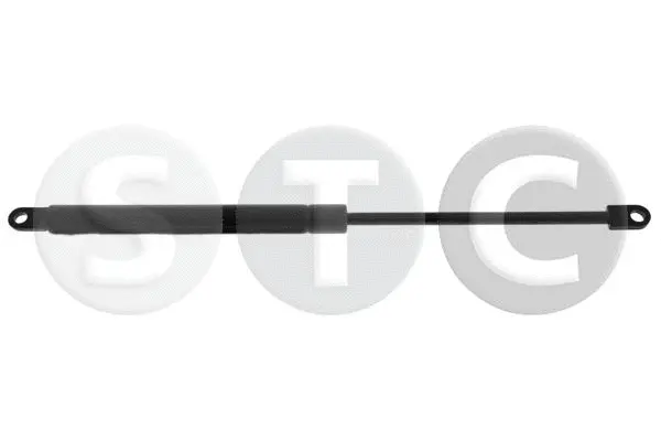 Gas Spring, boot/cargo area (T446409)