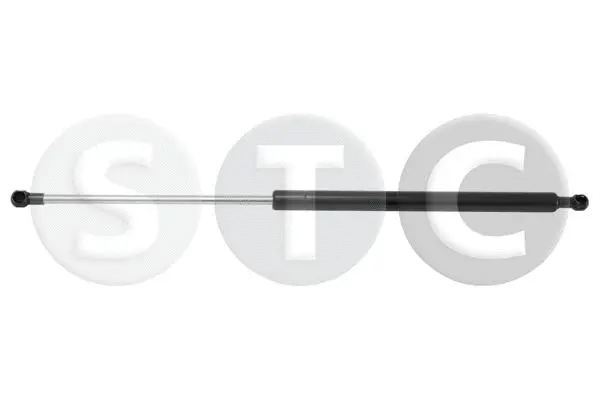 Gas Spring, boot/cargo area (T446278)