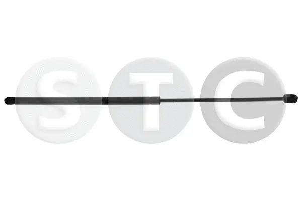 Gas Spring, boot/cargo area (T446537)