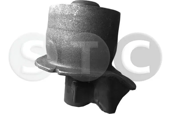 Bushing, axle beam (T458510)