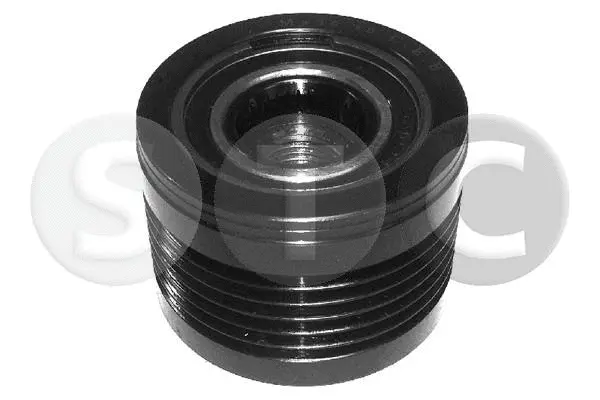 Alternator Freewheel Clutch (T406011)