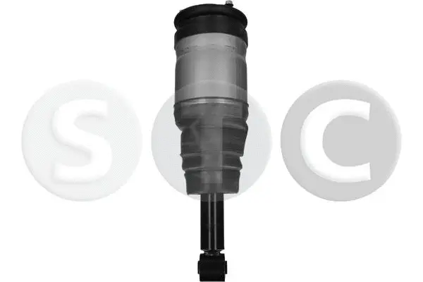 Air Suspension Strut (T442902)