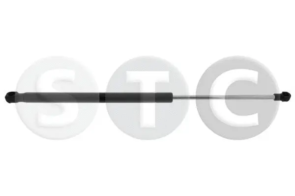 Gas Spring, boot/cargo area (T446306)