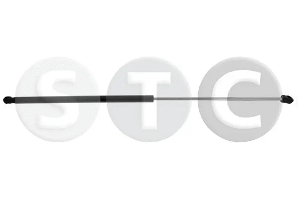 Gas Spring, bonnet (T446824)